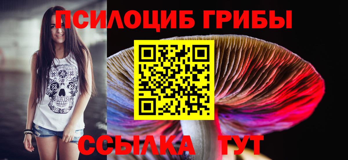 Галлюциногенные грибы Cubensis Корсаков