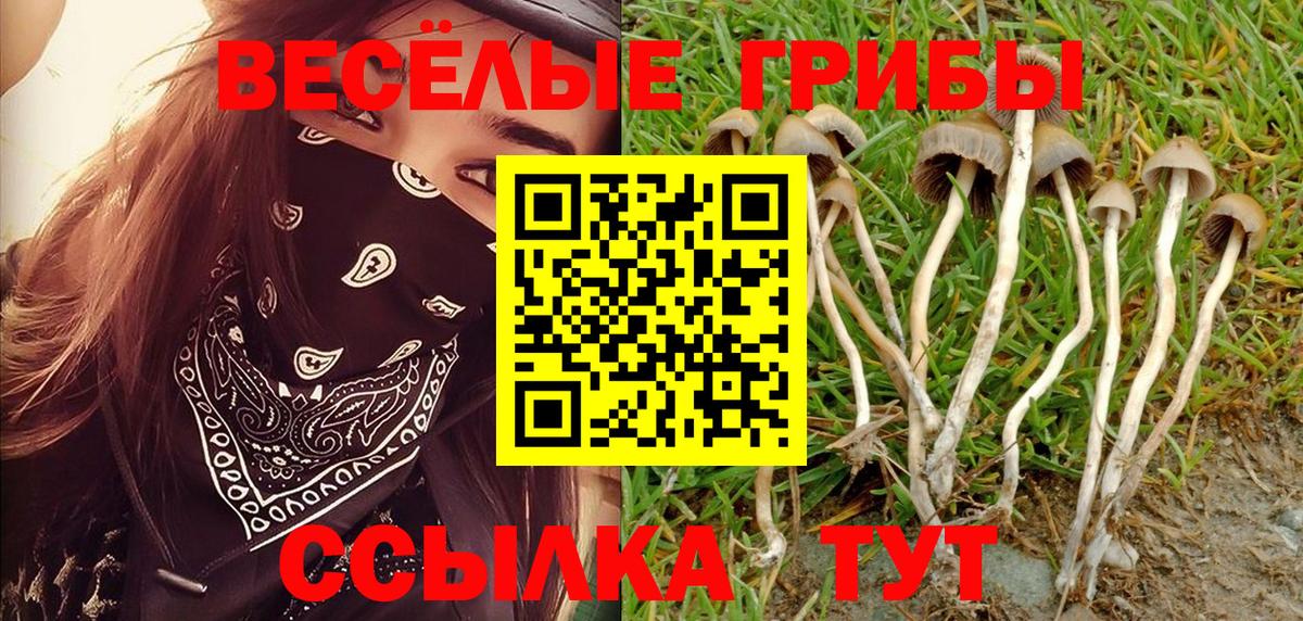 Корсаков  Псилоцибиновые грибы MAGIC MUSHROOMS  Вход с VPN 
